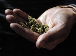 Ocho estados, además de Washington D.C., han legalizado el uso de mariguana recreativa en ese país. EL INFORMADOR / ARCHIVO