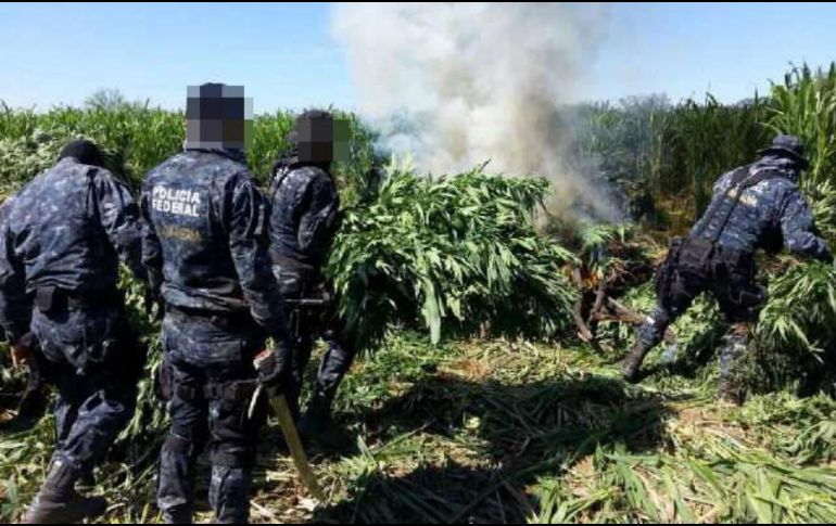 En estos lugares se recaban muestras representativas, que aon puestas a disposición del Ministerio Público de la Federación. EFE / ARCHIVO