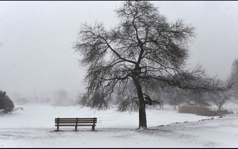 Al ganar fuerza a una velocidad increíble desde el miércoles, su presión cayó drásticamente, superando incluso el criterio de 24 milibares en 24 horas y bajando esa cantidad en apenas siete. Un parque en Greenwich, Connecticut.