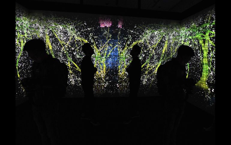 Una instalación digital interactiva de teamLab se muestra en una presentación previa para el festival  