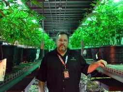 La organización a favor de la legalización Marijuana Policy Project dijo que el cambio alentará el tráfico de drogas ilegales. AP / P. Solomon