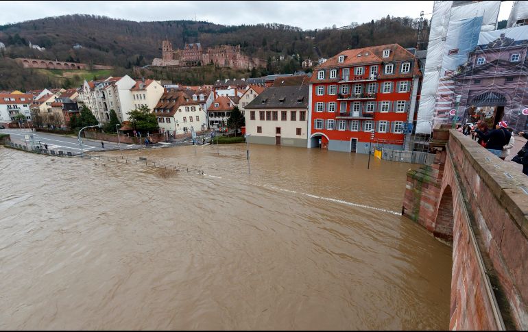 La navegación fue suspendida este viernes en las secciones altas del río Rin y una medida similar pudiera ser decretada en el área de Colonia el fin de semana. EFE / R. Wittek