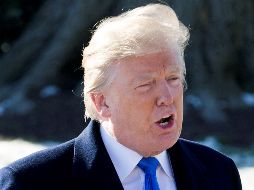 Los comentarios del mandatario se dan en medio de la polémica generada por la publicación de un libro que siembra dudas sobre su salud mental. EFE / M. Reynolds