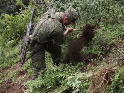 La PGR inicia dos carpetas de investigación contra quienes resulten responsables por delito contra la salud. NTX / ARCHIVO