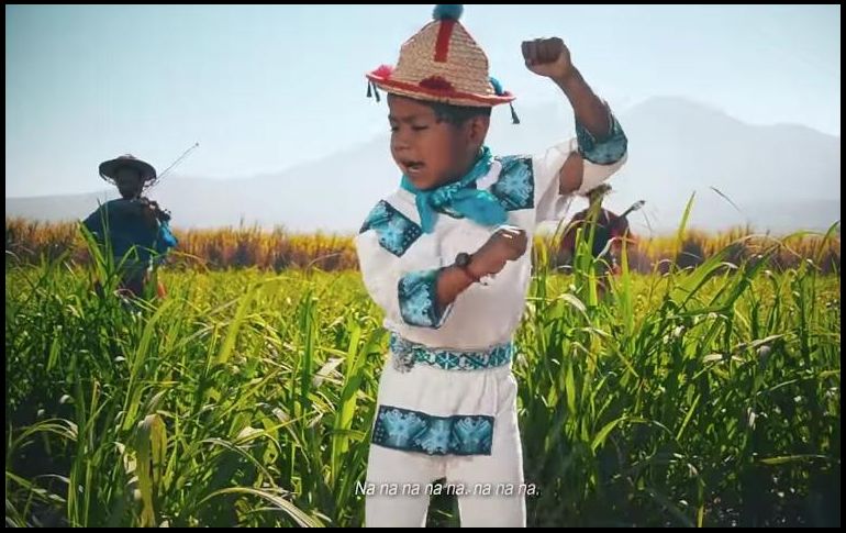 De acuerdo con el Instituto, se cumplen los requisitos establecidos por la Sala Superior del TEPJF para proteger el interés superior del menor. YOUTUBE / Movimiento Ciudadano