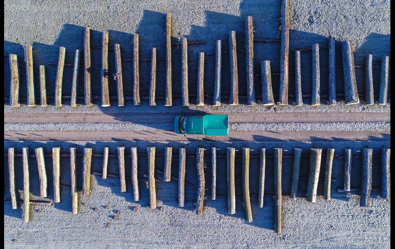 Imagen tomada con un dron de troncos de madera apilados en un almacén de la empresa forestal Brandebourg en Chorin, Alemania. AFP/DPA/P. Pleul