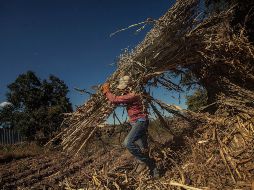 Sólo 12 municipios de la Entidad están afiliados al Padrón de Jornaleros. EL INFORMADOR/Archivo