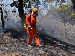 La velocidad de los vientos, su contenido de humedad y su dirección son factores clave en estas conflagraciones. EL INFORMADOR / ARCHIVO