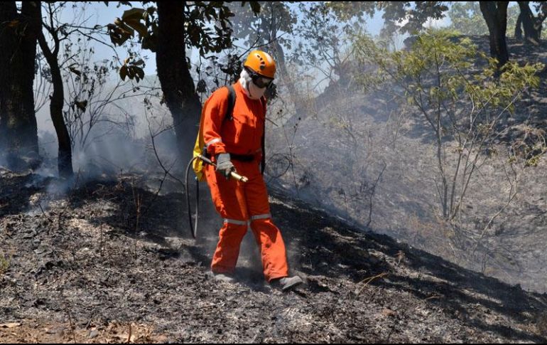 La velocidad de los vientos, su contenido de humedad y su dirección son factores clave en estas conflagraciones. EL INFORMADOR / ARCHIVO