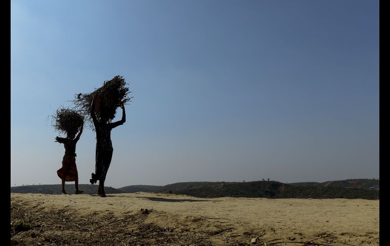 Rohinyás cargan leña en el campamento de refugiados Kutupalong, en el distrito Ukhia de Bangladesh. AFP/M. Uz Zaman