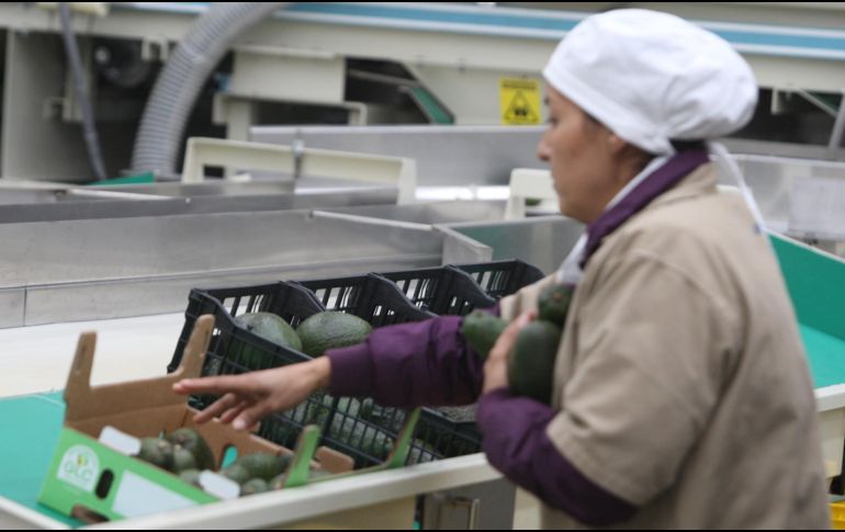 La Femac cuenta con más de 60 empresas jaliscienses asociadas lideradas por mujeres. EL INFORMADOR / ARCHIVO