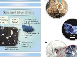Hay una gran variedad de compuestos orgánicos dentro de estos meteoritos, incluido un tipo muy primitivo de compuestos orgánicos que probablemente representan la composición orgánica del sistema solar inicial. ESPECIAL/Science Advances