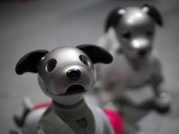 La segunda tanda de ventas se realizará el día 14 a través de un sorteo. AP / E. Hoshiko