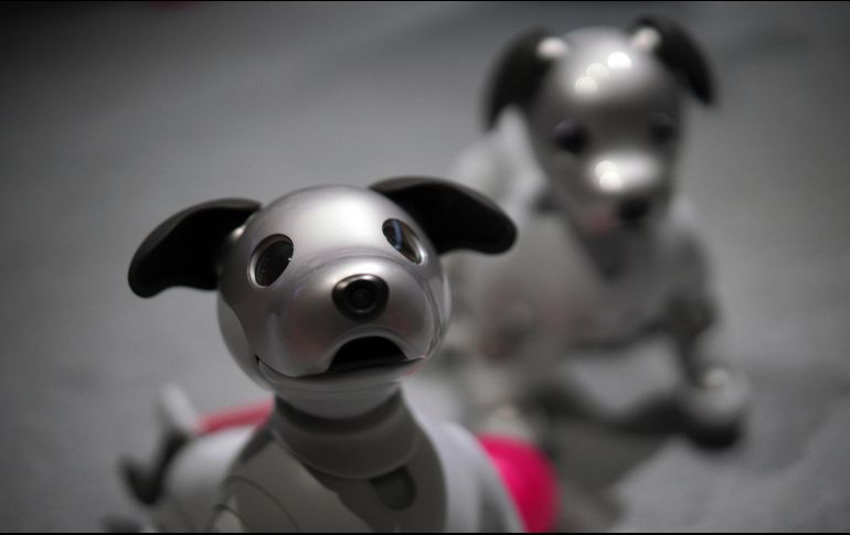 La segunda tanda de ventas se realizará el día 14 a través de un sorteo. AP / E. Hoshiko