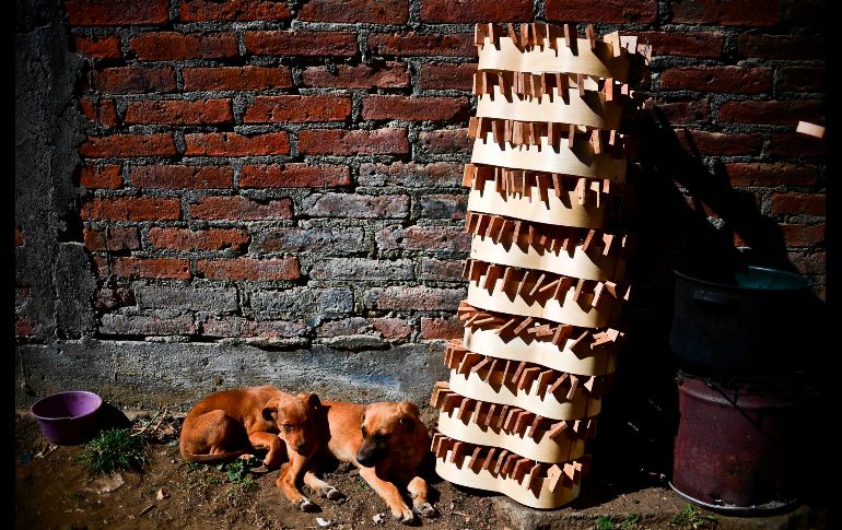 Partes de guitarra se ven apiladas en el taller de Meza durante el proceso de secado.