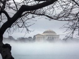 El mundo en imágenes del 12 de enero de 2018