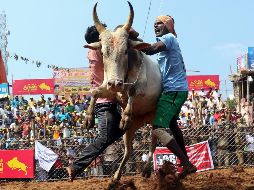 El mundo en imágenes del 15 de enero de 2018