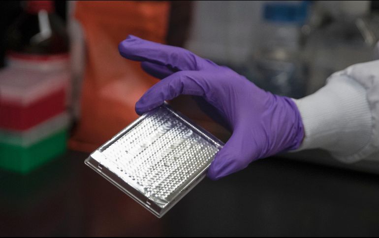 La causa de la mayoría de los problemas de salud. está en las disfunciones de las secuencias genéticas que codifican las proteínas. AP/C. Kaster