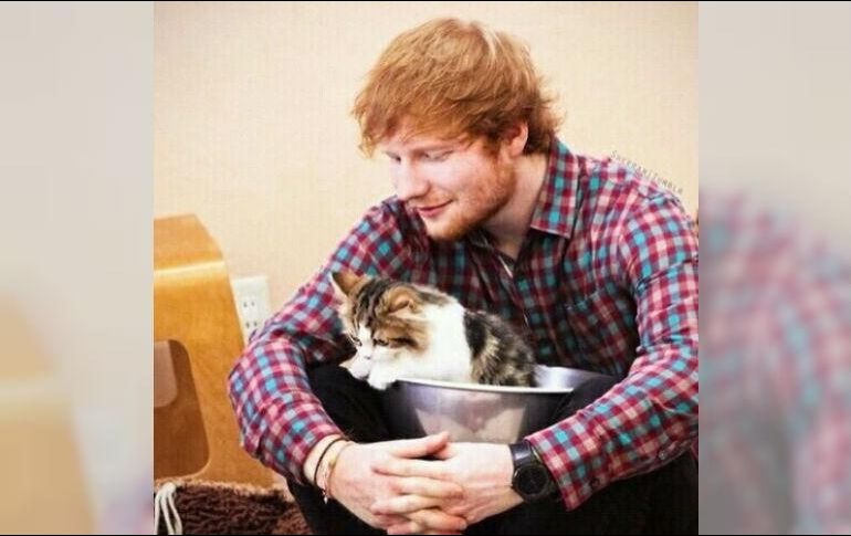 Sheeran dijo hace unos meses que Seaborn le inspiró su canción “Perfecta”, número uno en los tableros de Billboard Hot 100. INSTAGRAM/ Ed Sheeran teddysphotos