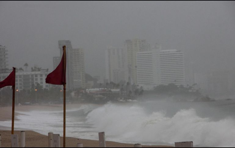 Las causas de muerte serán determinadas de acuerdo con los resultados de la necropsia de ley. EFE/ARCHIVO