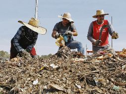 Beneficios. Uno de los requisitos para obtener composta es que los campesinos usen menos fertilizantes químicos. EL INFORMADOR/A. Camacho