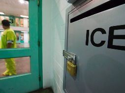 Niec llegó desde Polonia a EU a los cinco años; fue arrestado el martes de la semana pasada. AFP / ARCHIVO