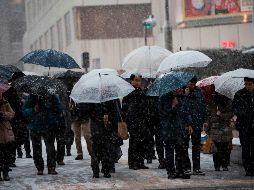En Tokio se produjo la mayor nevada en cuatro años con capas de más de 20 centímetros. AFP / B. Mehri