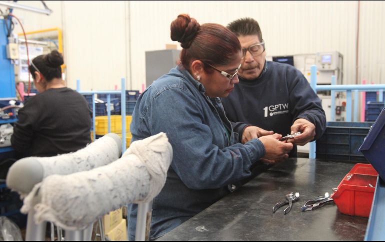 María Rafaela Becerra deja a un lado sus muletas para poder desempeñar su trabajo en la fábrica Urrea. Ella es una de las beneficiarias del Programa de Inclusión Laboral del DIF. EL INFORMADOR/G. Gallo