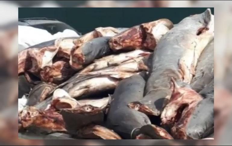 La acción se dio desde una camioneta que minutos antes había sido robada en La Barca, Jalisco. YOUTUBE / Red-113 Michoacán