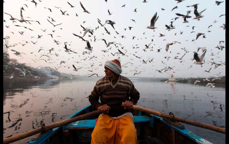 Un habitante rema en el río Yamuna de Nueva Delhi, India. AFP/X. Galiana
