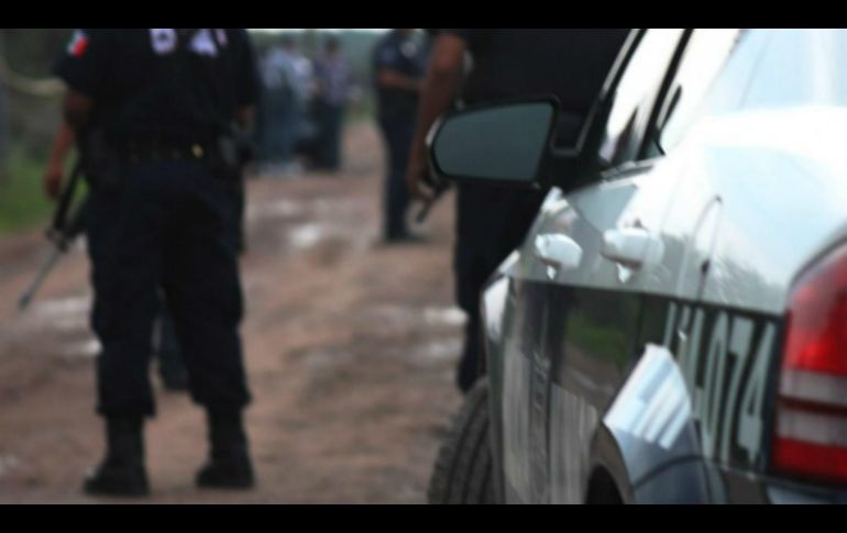 Lo asegurado es puesto a disposición del Ministerio Público de la Federación. EL INFORMADOR / ARCHIVO