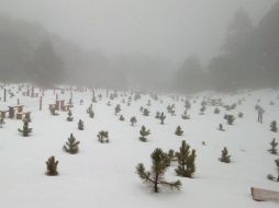 /img/2018/01/31/img-20180131-wa0017_crop1517433760