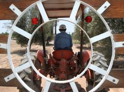 Para 2019, el consenso de analistas espera un crecimiento de 2.35% desde el 2.40% considerado en diciembre. NTX / ARCHIVO