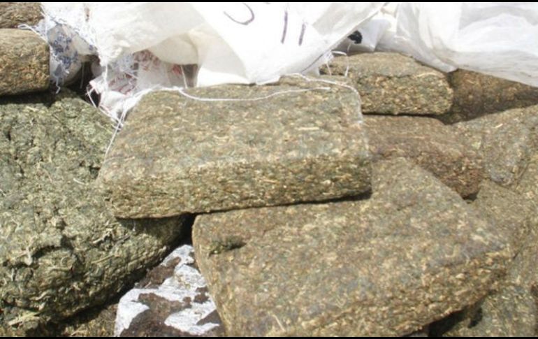 La Sedena encuentra la droga al efectuar reconocimientos terrestres sobre una brecha que conduce de la comunidad denominada 