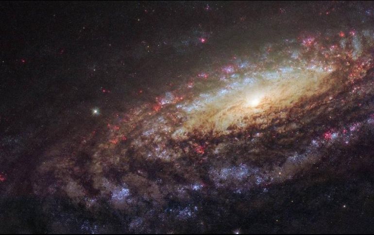 La galaxia espiral conocida como NGC 7331 está a unos 45 millones de años luz en la constelación de Pegaso. TWITTER / @NASAHubble