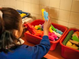 Se busca brindar protección a los menores retirados de sus familias tras ser vulnerados sus derechos. EL INFORMADOR/ARCHIVO