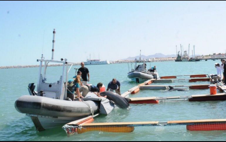 De acuerdo con las autoridades, los cubanos fueron entregados a personal del Instituto Nacional de Migración. NTX/ ARCHIVO