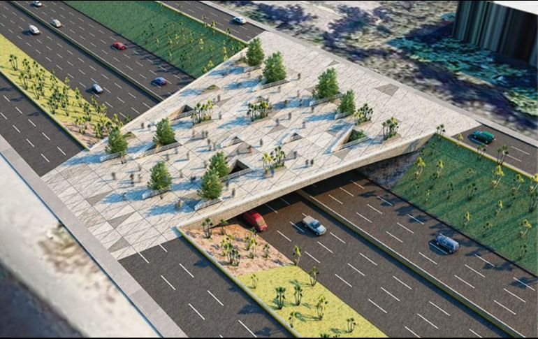 De manera segura. El espacio peatonal permitirá cruzar de la Biblioteca Pública del Estado “Juan José Arreola” al CUCEA. ESPECIAL