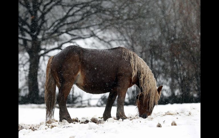 El mundo en imágenes del 05 de febrero de 2018