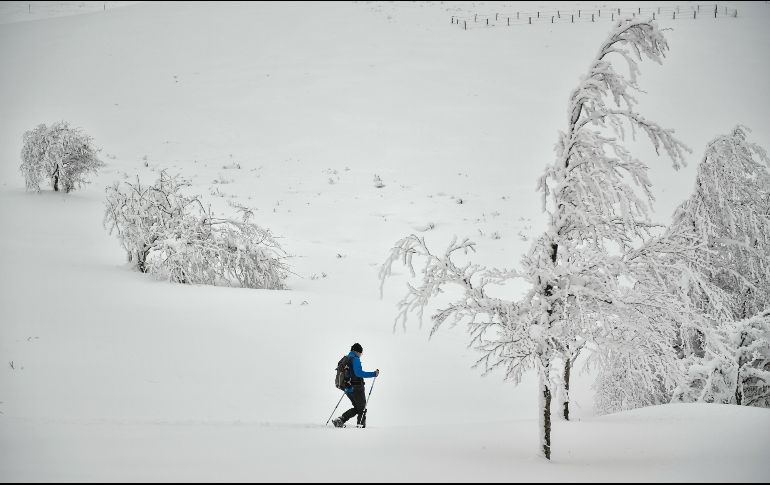 Un peregrino en el camino de San Juan va por un campo cubierto de nieve entre Ibaneta y Roncesvalles, España. AP/A. Barrientos