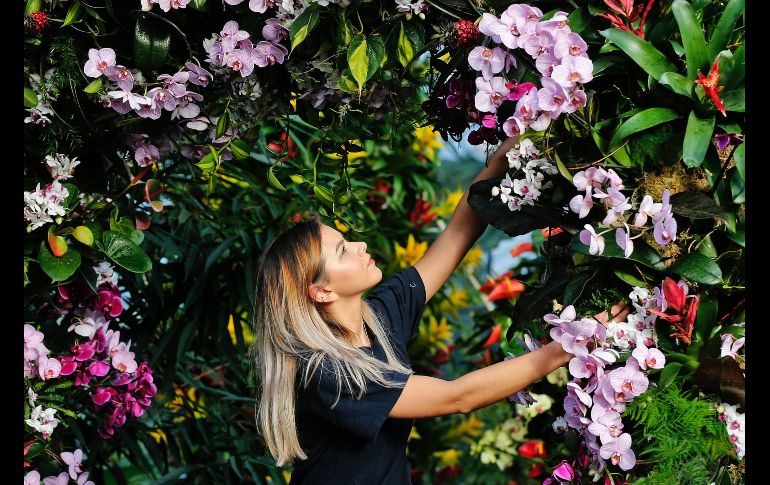 Jenny Forgie trabaja en una exhibición en los Jardines Kew de Londres, como parte del Festival de la Orquídea. AP/F. Augstein