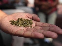 La mariguana, el tabaco, el alcohol y las metanfetaminas son drogas de primer contacto. EL INFORMADOR/F. Atilano