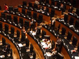 El pleno aprobó la adición de un párrafo al artículo 4o constitucional, lo cual modificó la minuta que recibieron los senadores de la Cámara de Diputados el 15 de diciembre. SUN / ARCHIVO