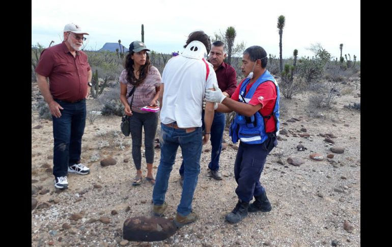 En la camioneta viajaban 11 personas del Congreso Nacional Indígena (CNI), la coordinación del Consejo Indígena de Gobierno (CIG). EFE/ M. Pérez