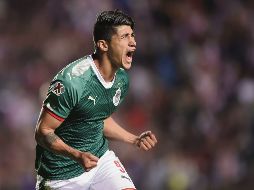 El delantero de Chivas, Alan Pulido, celebra tras conseguir su segundo gol de la noche, el del empate definitivo ayer ante los Gallos Blancos. MEXSPORT