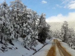 Según el análisis, el primer mes del año en curso resultó un poco más fresco por la fase actual de ''La Niña'' de ''El Niño''-oscilación del sur. NTX / ARCHIVO