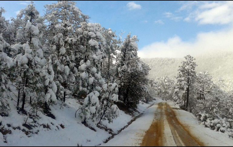 Según el análisis, el primer mes del año en curso resultó un poco más fresco por la fase actual de ''La Niña'' de ''El Niño''-oscilación del sur. NTX / ARCHIVO