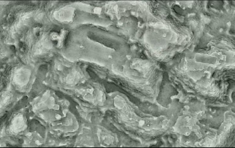 La ciudad fue hallada gracias a la técnica lidar que utiliza pulsos láser para explorar debajo del follaje. ESPECIAL / C. Fisher