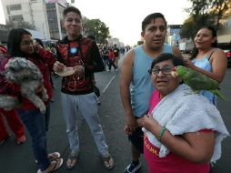 Autoridades pidieron a la ciudadanía consultar cuentas oficiales para evitar la propagación de rumores. SUN/J. Reyes