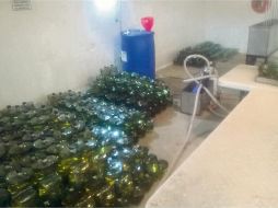 La bebida contenía altos índices de metanol, tóxico para el consumo humano. ESPECIAL